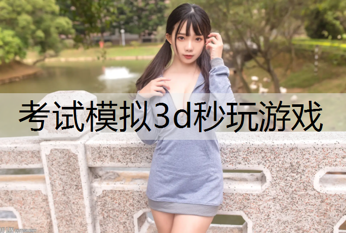 考试模拟3d秒玩游戏